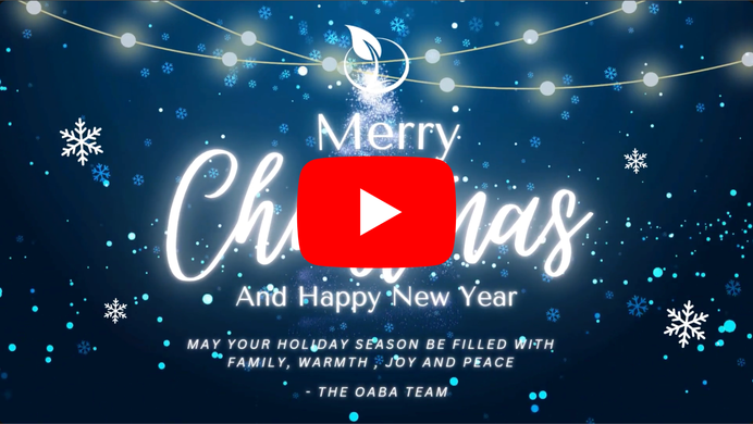 Christmasfreezeframe2025